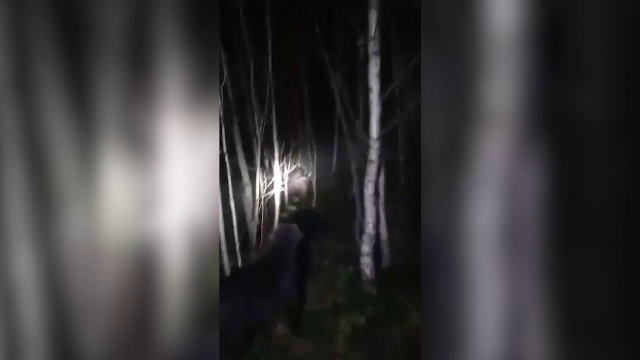 Sătul de un urs care i-a omorât mai multe animale, un cioban a decis să-și facă singur dreptate