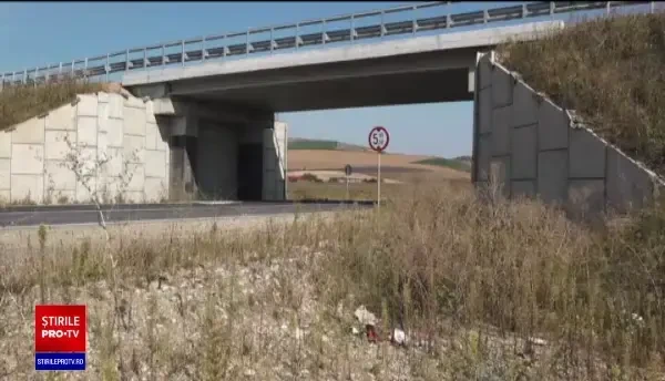 Cum a încercat să își ascundă urmele tânărul care a abandonat un bărbat într-un șanț, găsit mort după 3 zile