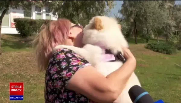 Ce a pățit un tânăr din Iași care a furat un cățel de rasă, după ce s-a jucat cu el. Cu cât l-a vândut