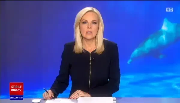 Delfinul Chen-Chen, de la Delfinariul din Constanța, s-a îmbolnăvit