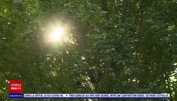 Horoscop 20 septembrie, cu Neti Sandu. Taurii își refac viața sentimentală