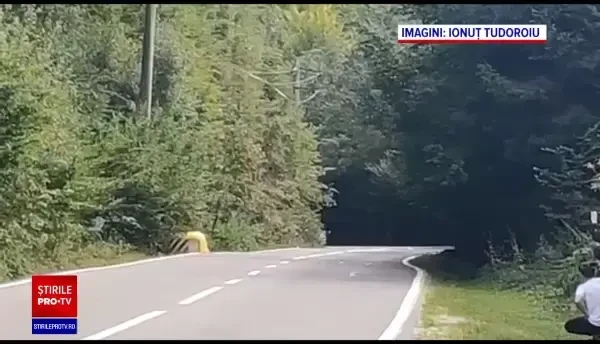 Filmul accidentului de la Campionatul Național de Viteză. Cum a scăpat cu viață pilotul în mașina care zbura cu 162 km/h