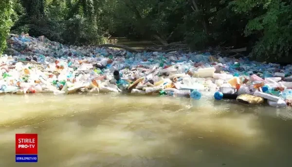 Ciorogârla, sufocată de peturi care vor ajunge în deltă. Reacția halucinantă a Apelor Române: ”Peturile nu sunt o poluare”