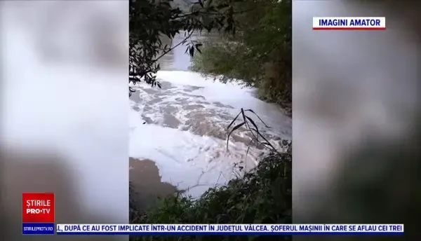 Poluare masivă pe râul Olt: “No, stai să vezi ce vine! Na, faună! Na, sănătate!”