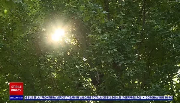 Horoscop 23 septembrie 2021, cu Neti Sandu. Berbecii vor descoperi dacă există compatibilitate după o întâlnire