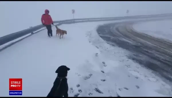 Strat de zăpadă de 10 centimetri pe Transfăgărăşan