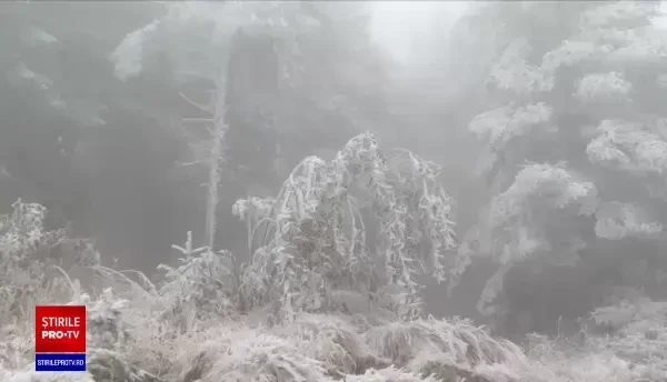Zăpada și gheața au pus stăpânire în multe regiuni ale țării. De când se îndreaptă vremea
