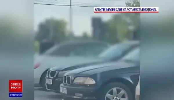 Bătaie între suporteri ai Poli Timișoara și Dinamo. Șase huligani au fost reținuți