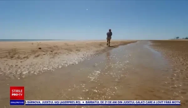 Roxy și Quinton, labradorii care ajută copiii să facă față momentelor dificile. Sunt primiți chiar și în sălile de judecată