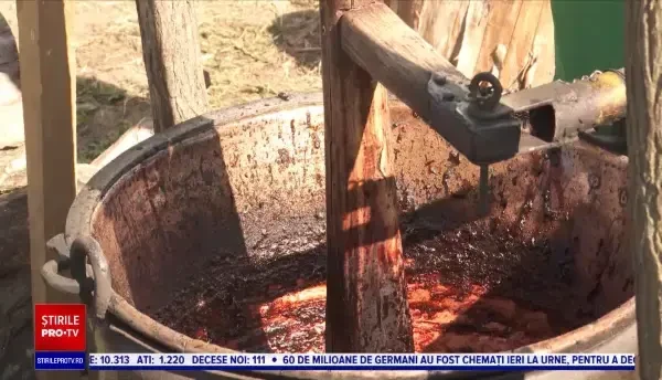 Cea de-a treia ediție a Festivalului Silvoiței a avut loc în acest weekend. De ce surprize au avut parte turiștii