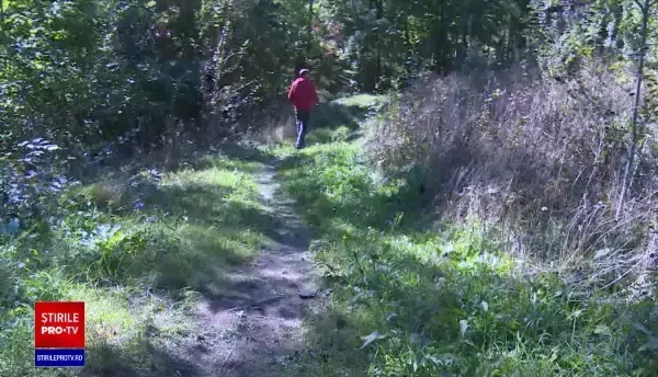 Un bărbat a fost atacat de urs la Breaza. E al doilea atac în 24 de ore în Prahova