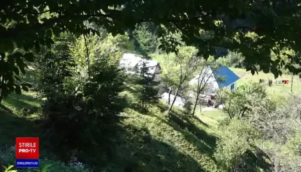 Fată de 13 ani, găsită moartă într-o râpă. Plecase singură în pădure să culeagă ciuperci