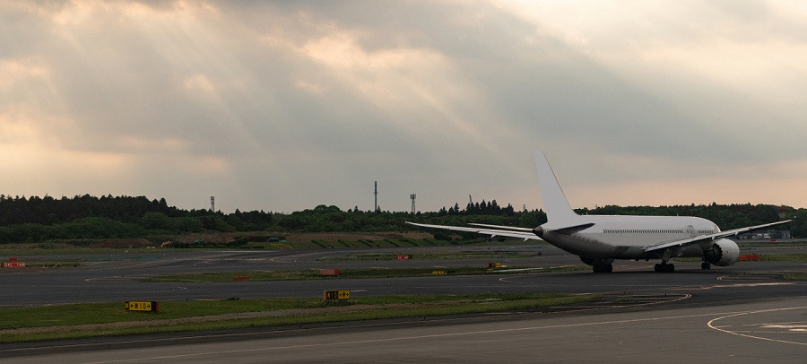 O broască țestoasă a generat haosul pe un aeroport din Japonia. Cinci zboruri au fost amânate