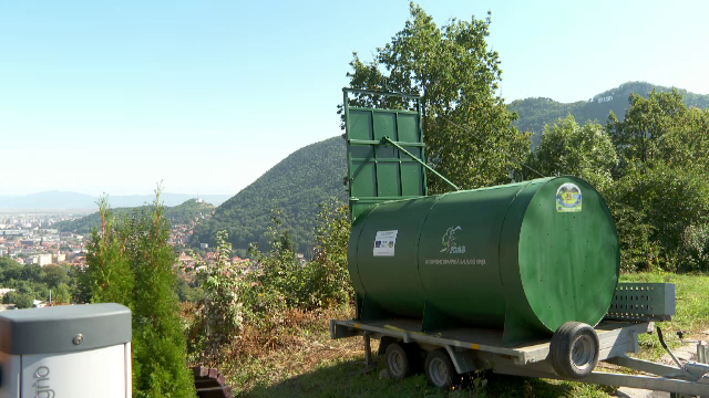 O ursoaică și cei trei pui ai săi nu se lasă prinși într-o capcană pusă de autorități în Brașov