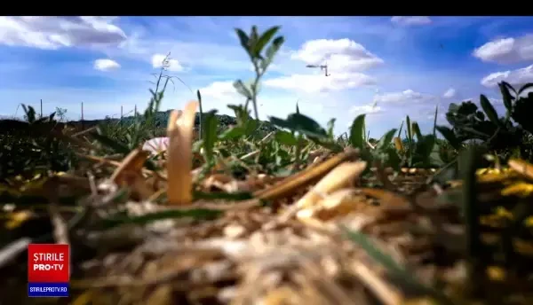 Gunoaiele din Capitală ajung în depozite ilegale. „Se poate transforma într-un dezastru ecologic”