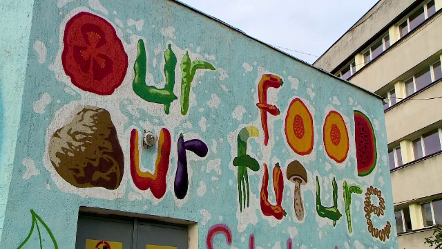 O pictură murală inedită, realizată de tineri artiști, în Iași. Ce o face așa de specială