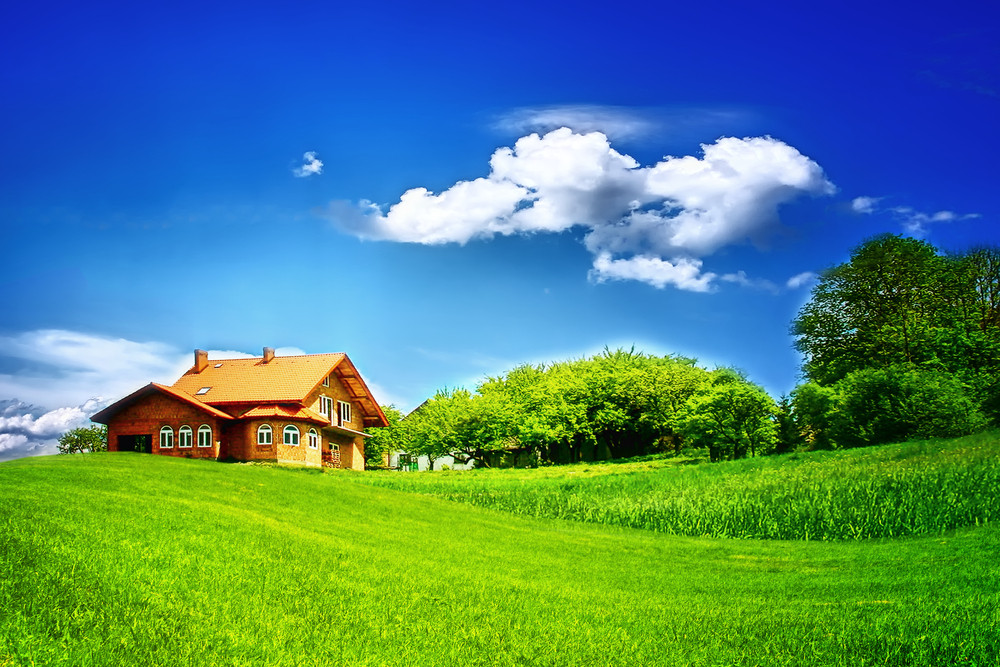 Terenuri de 300 mp, atribuite gratuit unor tineri de Primăria Hunedoara. Condițiile necesare