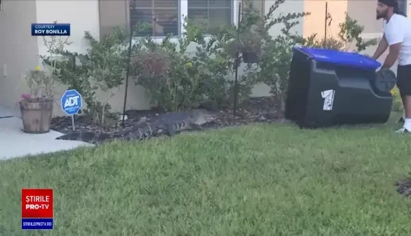 Captură inedită a unui fost militar din Florida. Bărbatul s-a folosit de un tomberon pentru a captura inamicul din vecini