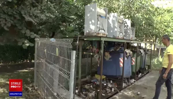 Orașul invadat de șobolani, în care tomberoanele zac neridicate. Oamenii se tem și în casă