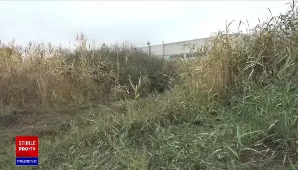 Un recidivist a ucis o femeie, pe marginea șoselei, în Oradea. Trupul ei era plin de tăieturi