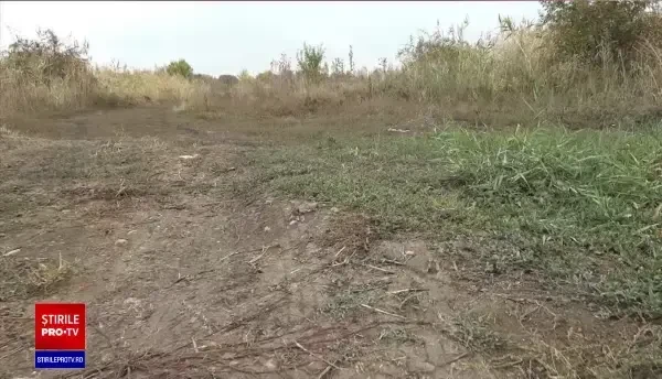 Un recidivist a ucis o femeie, pe marginea șoselei, în Oradea. Trupul ei era plin de tăieturi