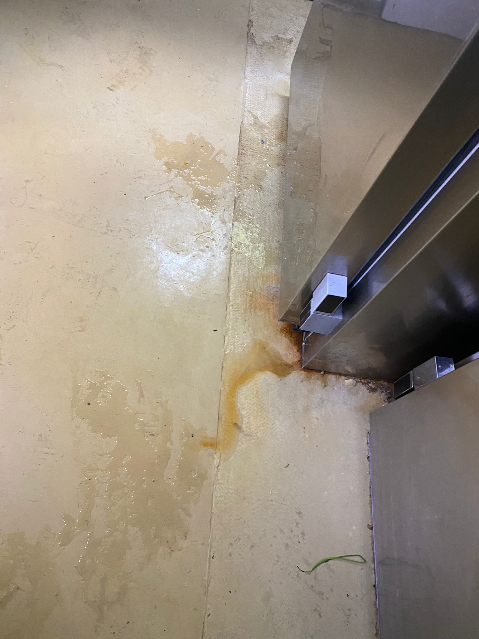 Alimente expirate și gândaci, în hoteluri de lux din Capitală. Inspectorii de la Protecția Consumatorilor au dat amenzi