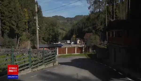 Doi urși agresivi, care au atacat mai multe gospodării, au fost împușcați. Reacția ministrului Mediului