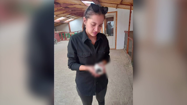 Scandal de proporții la o grădină zoologică. Un porcușor de guineea, găsit mort de două vizitatoare