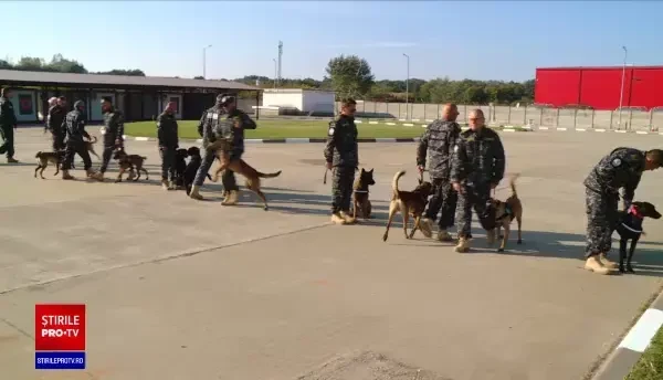 19 câini, ''Agenții speciali'' ai Agenției Naționale de Administrare Fiscală. Pentru ce sunt antrenați