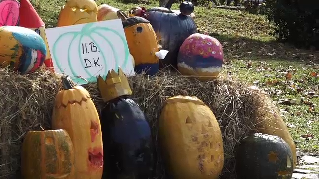 "Festivalul Dovlecilor", la Sovata. Ce pot vedea turiștii