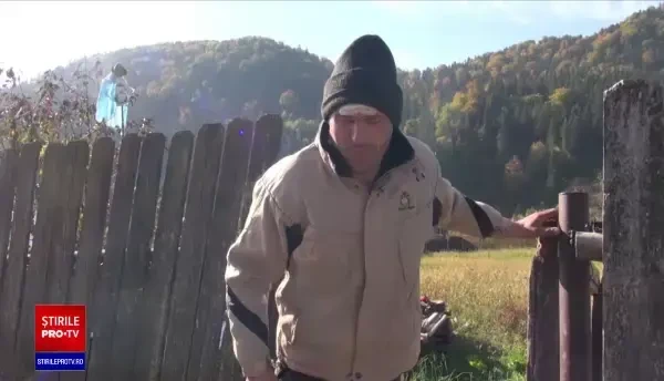 Un bărbat din Neamț a mers să culeagă ciuperci în pădure, dar a dat nas în nas cu trei urși