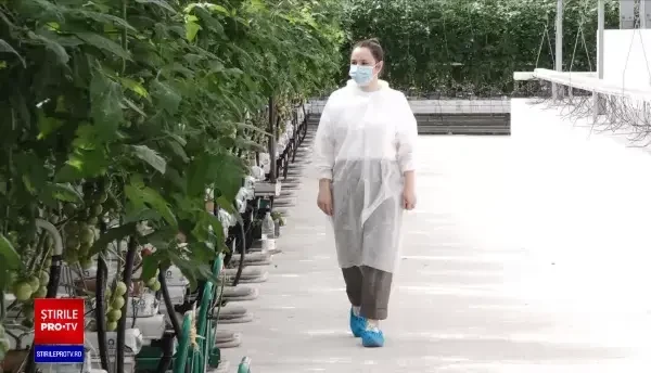 Transportatorii cresc și ei prețurile. Unii producători anunță deja că au scumpit bunurile care ajung în magazine