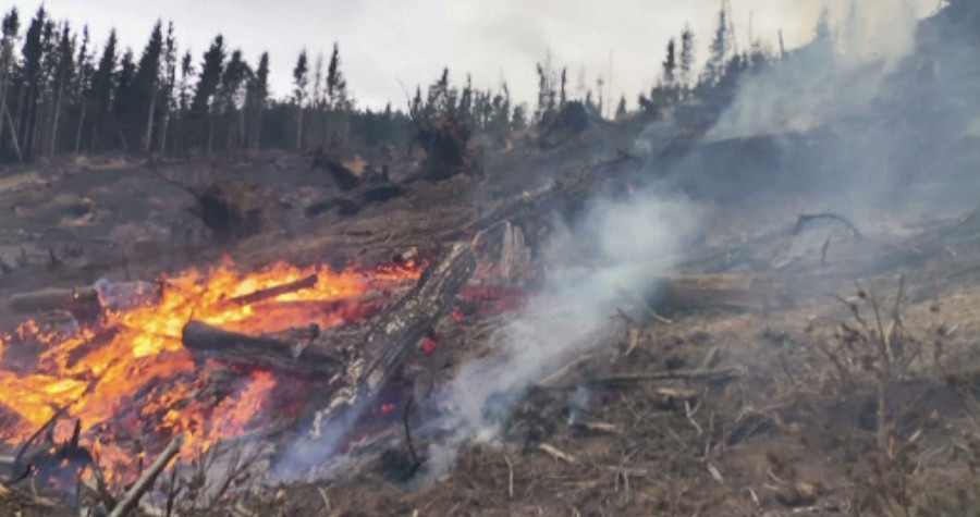 Incendiu puternic într-o pădure din județul Harghita. Pompierii s-au luptat cu flăcările o zi întreagă