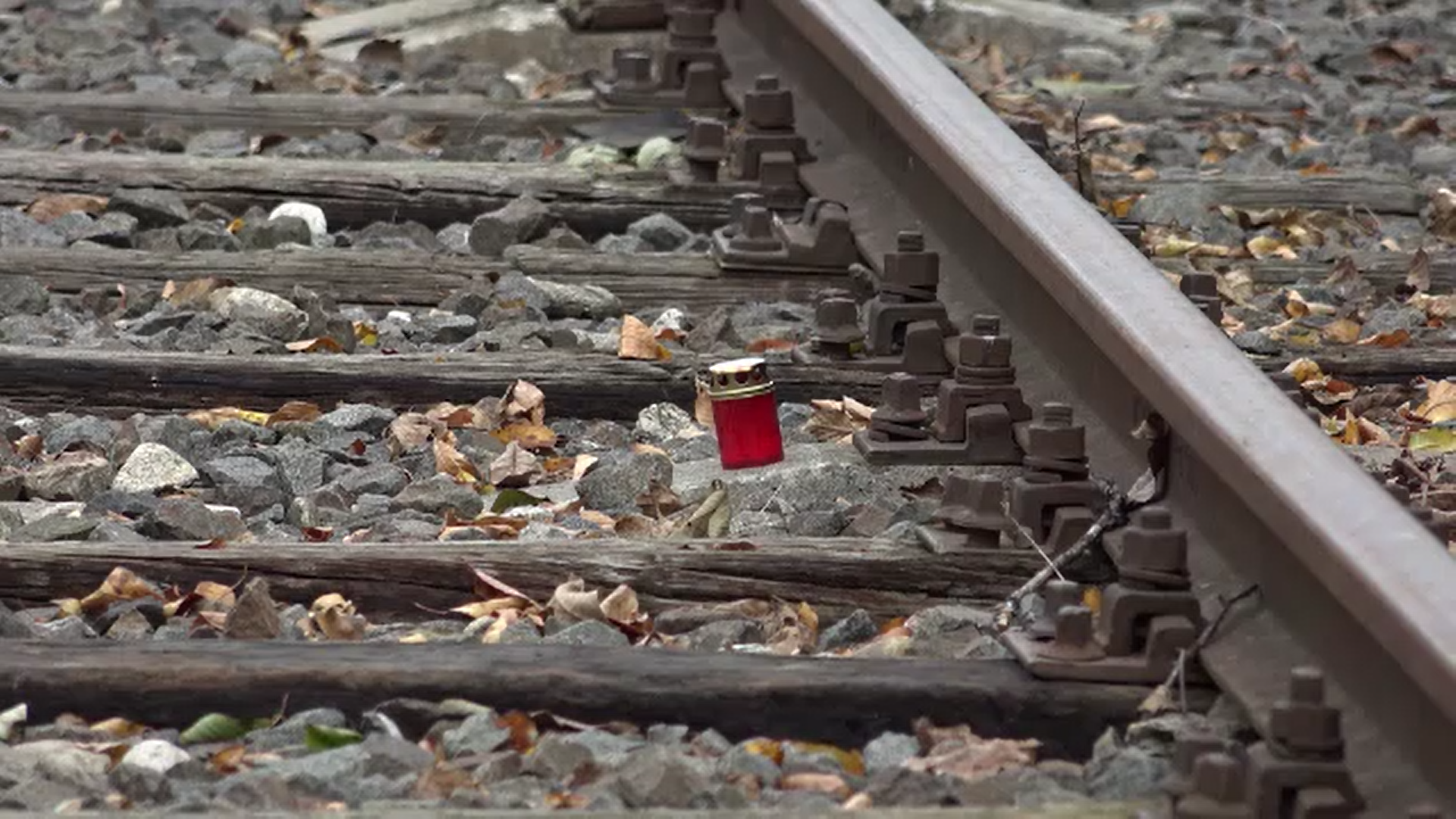 Un bărbat din Alba a murit electrocutat în timp ce scutura nucul din spatele casei sale