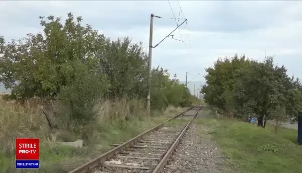 Un bărbat din Alba a murit electrocutat în timp ce scutura nucul din spatele casei sale