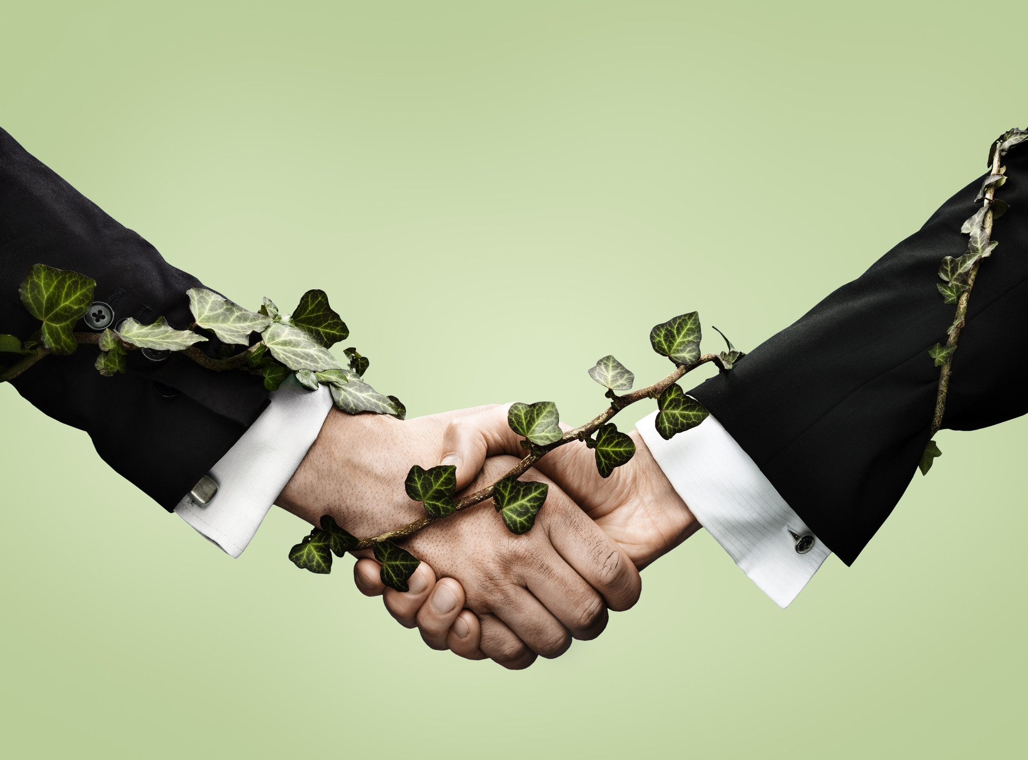 Comisia Europeană obţine 12 miliarde euro după emiterea primelor obligaţiuni verzi