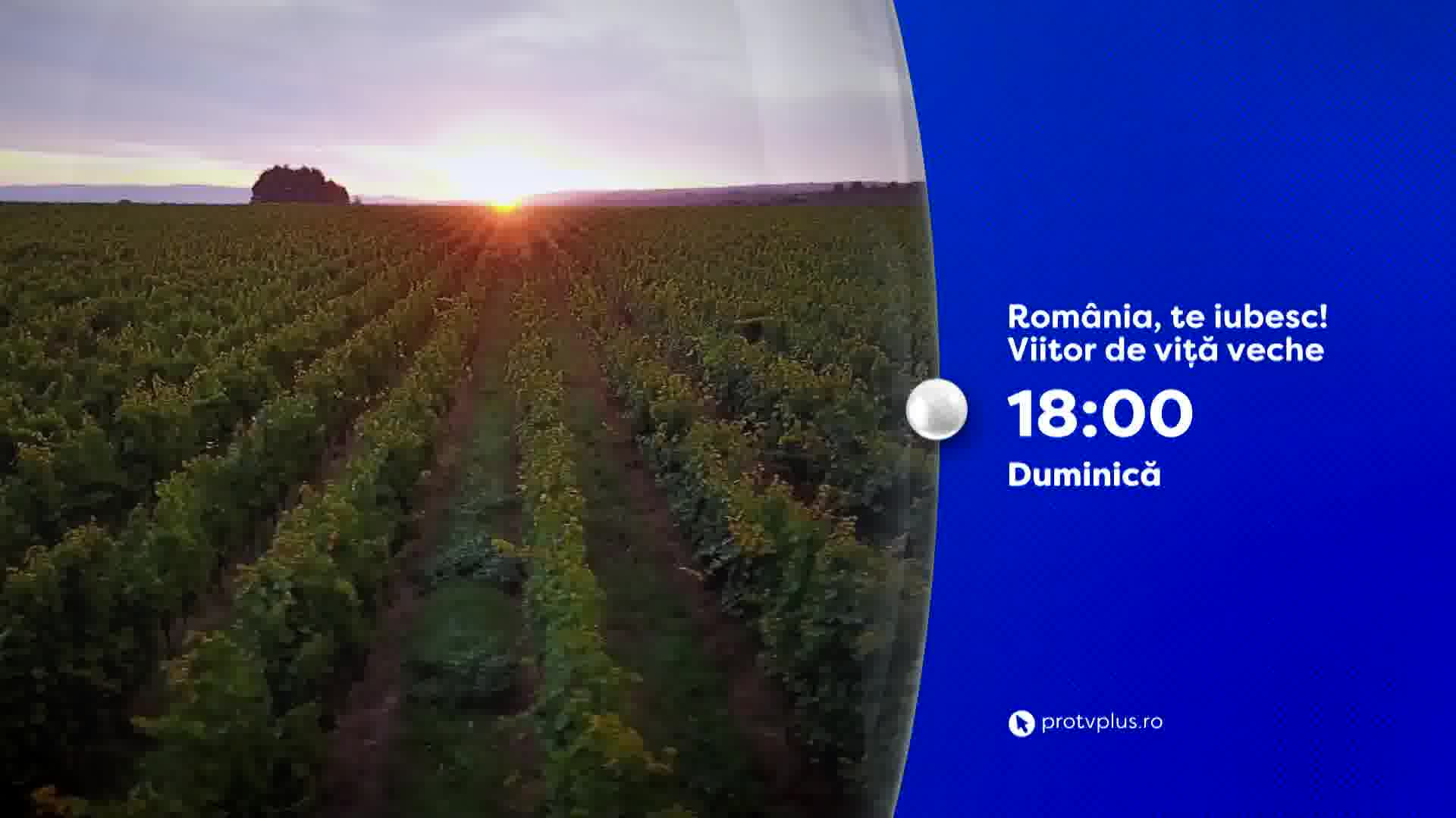 România, te iubesc! Vinul românesc are un potențial uriaș, de multe ori ignorat