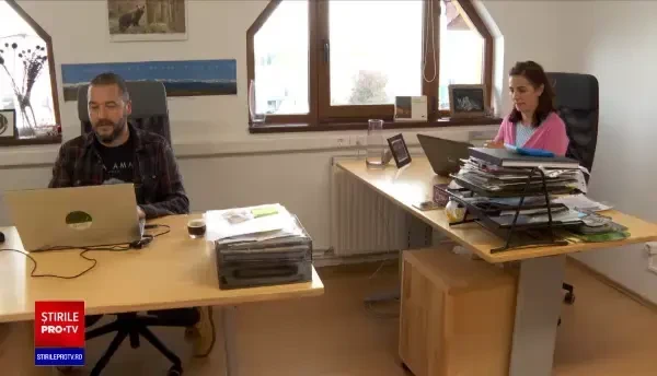 Imaginile cu animale sălbatice din România, admirate de români