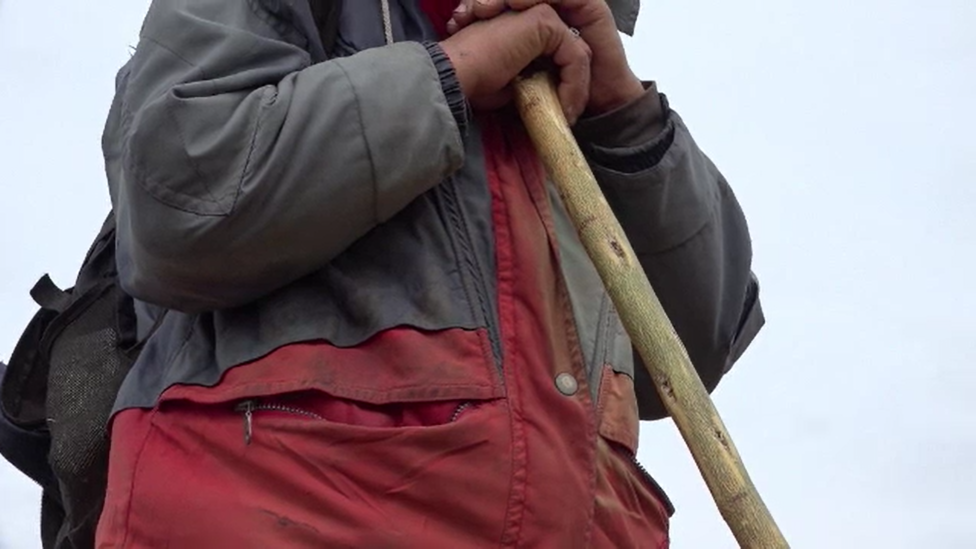 Un tânăr din Vaslui a ajuns după gratii după ce a violat-o pe proprietara stânei la care muncea