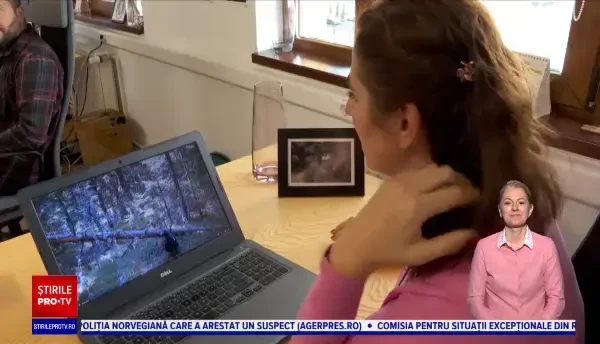 .Imaginile cu animale sălbatice din România, admirate de români