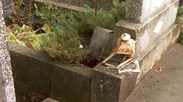Un urs a provocat pagube într-un cimitir. Animalul a reușit să dărâme o cruce din ciment