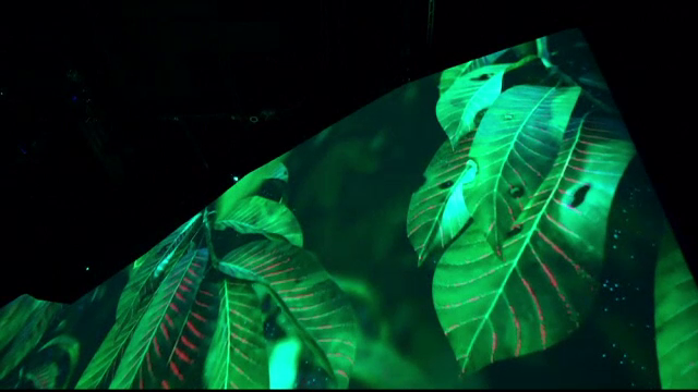 "Pavilionul Terra" de la Expo Dubai, o pledoarie pentru protejarea planetei