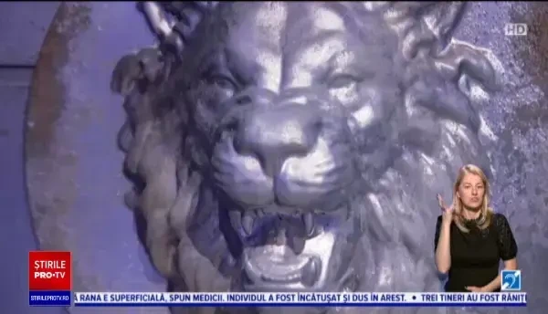 Au început preselecțiile pentru „Imperiul Leilor”, sezonul 3. Ideea inedită pentru care vrea să obțină finanțare un tânăr