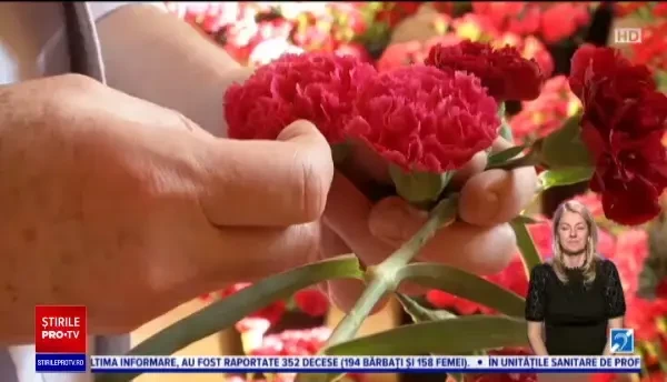 Orașul în care grădinile sunt înflorite tot anul. Festivalul internațional al florilor Cordoba