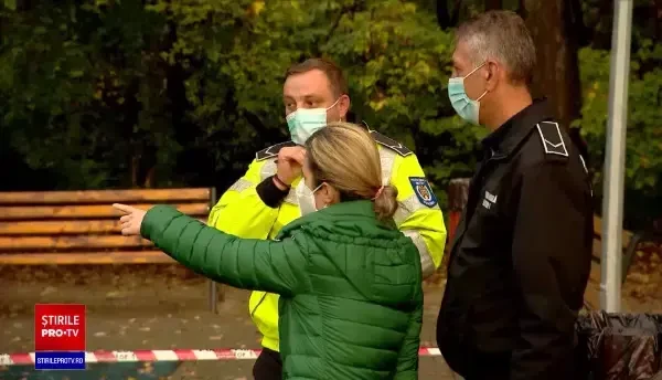 .Mii de copaci cad în fiecare an peste case și mașini. Autoritățile se arată complet dezinteresate