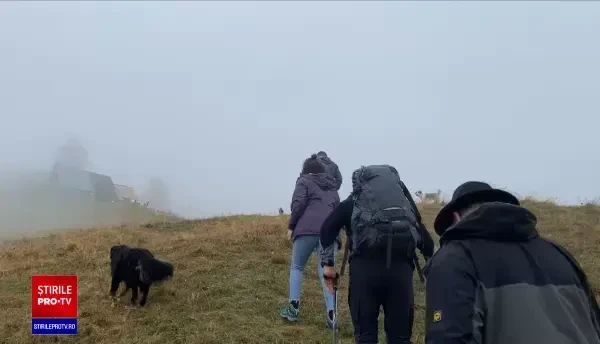 Ecoturismul, la mare căutare în România. Cât costă o zi de cazare la o stână