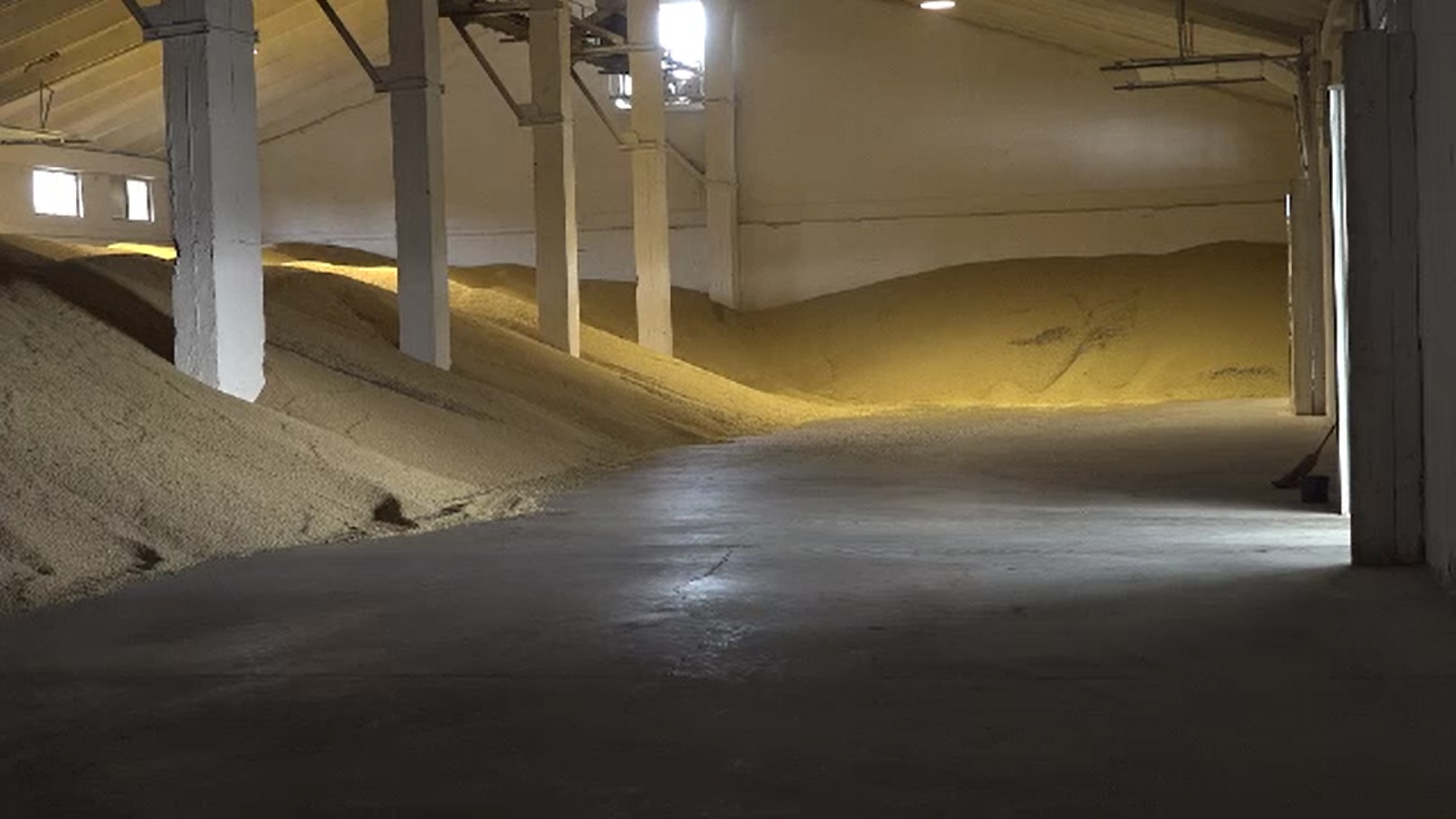 Aproximativ 200 de tone de soia modificată genetic au fost descoperite în curtea unui depozit din județul Bihor