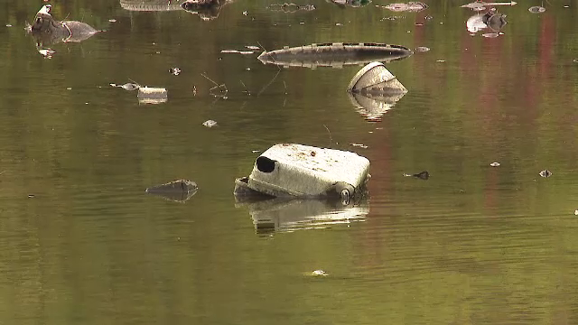 De la fotolii, până la coșuri de supermarket aruncate în lacuri. Asta poți vedea dacă îndrăznești să te plimbi prin Capitală