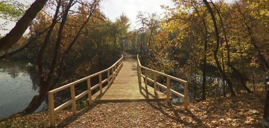 Un nou parc a fost deschis în București. Unde se află și ce suprafață are