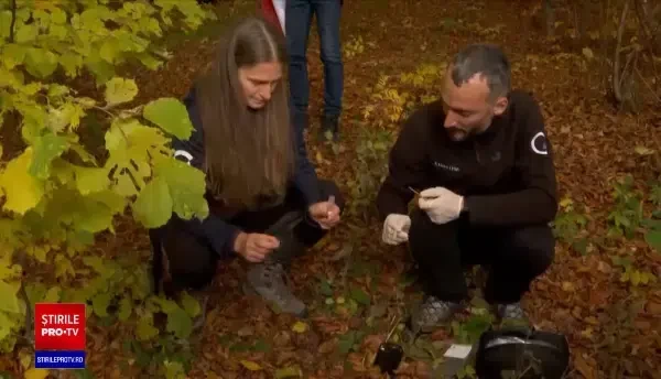 Un recensământ efectuat în Munții Făgăraș arată că România are mai puțini urși decât susțin autoritățile